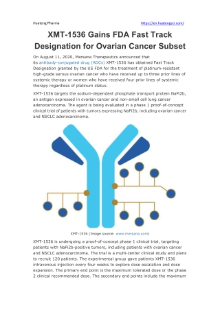 XMT-1536 Gains FDA Fast Track Designation for Ovarian Cancer Subset