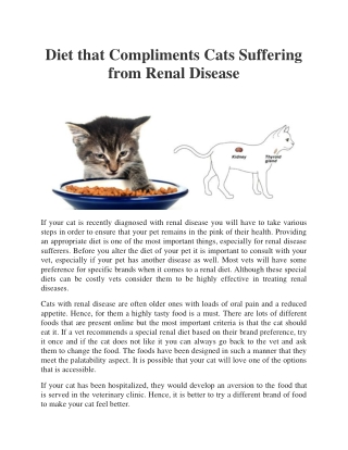 Diet that Compliments Cats Suffering from Renal Disease