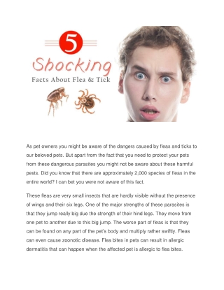 5 Shocking Details about Fleas and Ticks
