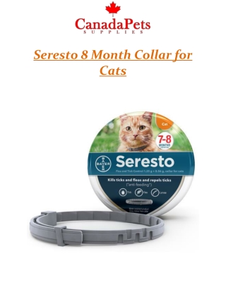 Seresto 8 month collar for cats - CanadaPetsSupplies