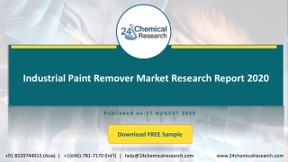 Industrial Paint Remover Market Research Report 2020