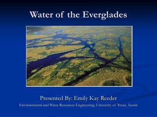 Water of the Everglades