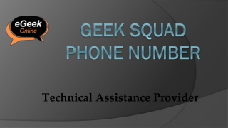 Geek Squad Phone Number