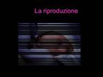 La riproduzione