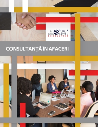 Tipuri de consultanta in managementul afacerilor