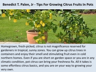 Benedict T. Palen, Jr - Tips For Growing Citrus Fruits In Pots