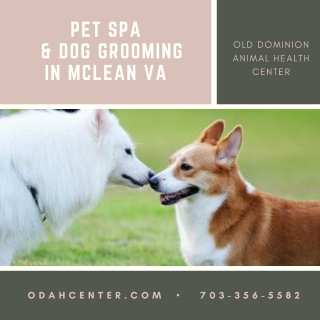 Pet Spa & Dog Grooming in McLean VA