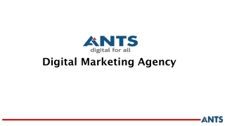 Best Digital Marketing Consultant in Gurgaon | Digital Marketing Company | Ants Digital