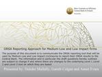 ORSA Reporting Approach for Medium-Low and Low impact firms