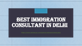 Best immigration consultant in Delhi