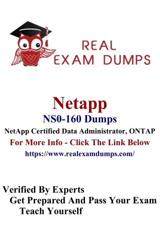 How Can I Prepare NS0-160 Practice Test PDF Dumps?