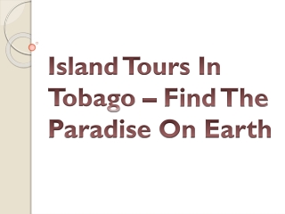 Island Tours In Tobago – Find The Paradise On Earth