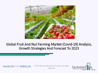 Fruit And Nut Farming Market Recent Trends Include Growth Factors And Highest CAGR