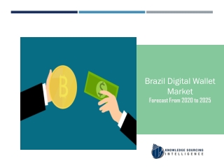 Segment Analysis on Brazil Digital Wallet Market