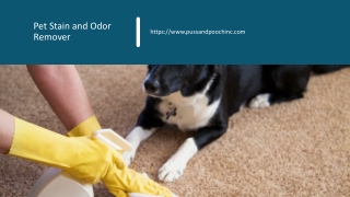 Pet Stain and Odor Remover