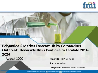 Polyamide 6 Market Forecast Hit by Coronavirus Outbreak, Downside Risks Continue to Escalate 2016-2026