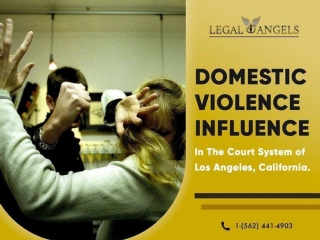Domestic Violence influences in the court System of Los Angeles California