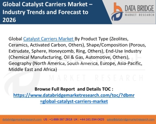Global Catalyst Carriers Market