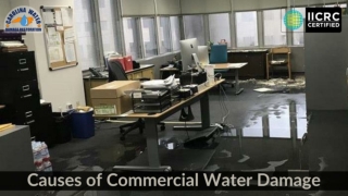7 Causes of Commercial Water Damage