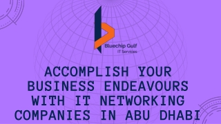 Accomplish your Business Endeavours with IT Networking Companies in Abu Dhabi