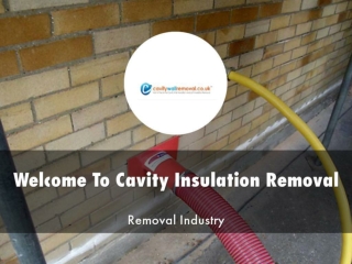 Detail Presentation Cavity Insulation Removal
