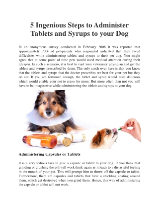 5 Ingenious Steps to Administer Tablets and Syrups to your Dog