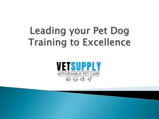 Leading your Pet Dog Training to Excellence