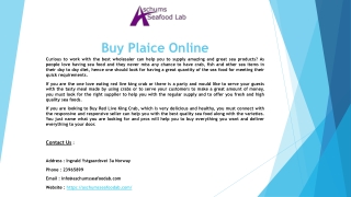 Buy Salmon Fish Online