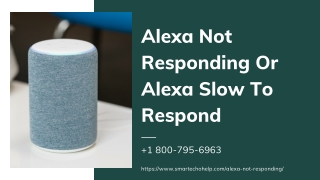 Fix Alexa Not Responding 1-8007956963 Alexa Does Not Respond | Alexa Helpline