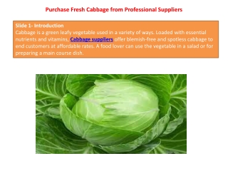 Purchase Fresh Cabbage from Professional Suppliers