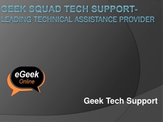 Geek Squad Tech Support