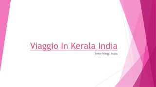 Viaggio in Kerala India