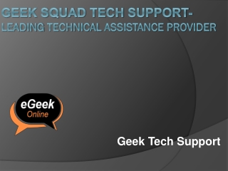 Geek Squad Tech Support