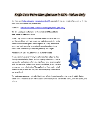 Knife Gate Valve Manufacturer in USA - Valves Only