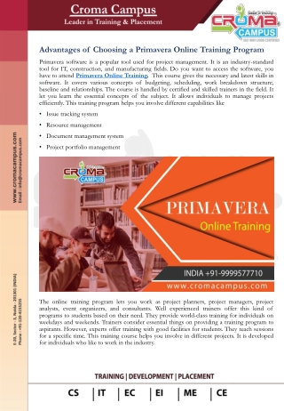 Primavera Online Training