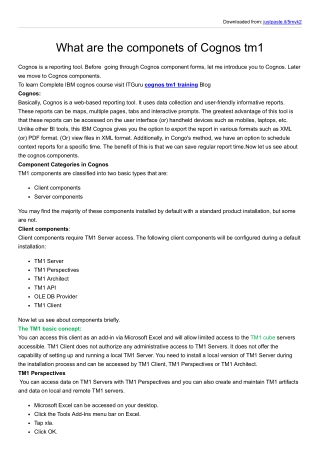 What are the components in Cognos tm1