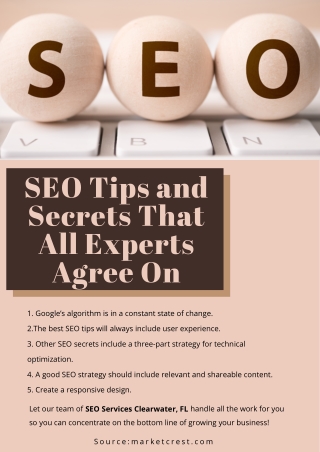 SEO Tips and Secrets That All Experts Agree On