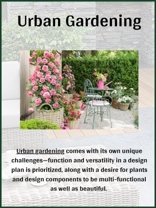 Urban Gardening Ideas and Landscaping | InstantHedge
