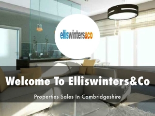 Detail Presentation About Ellis Winters & Co