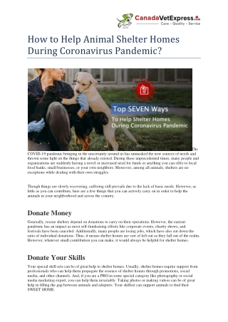 How to Help Animal Shelter Homes During Coronavirus Pandemic