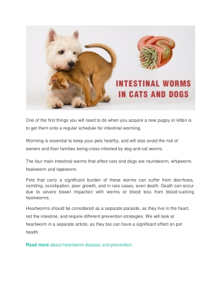 What is Intestinal Worms In Cats and Dogs