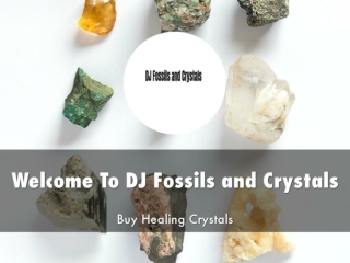 Detail Presentation About DJ Fossils and Crystals