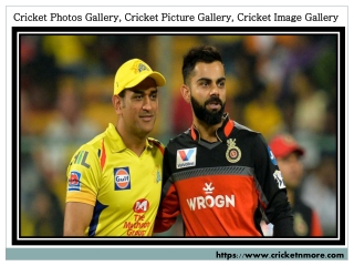 Look Amazing Cricket Photos Gallery, Cricket Picture Gallery - Cricketnmore