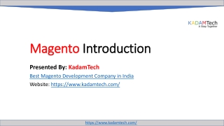 Magento Development Company in India | Magento eCommerce Development Service