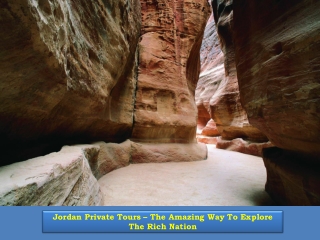 Jordan Private Tours – The Amazing Way To Explore The Rich Nation