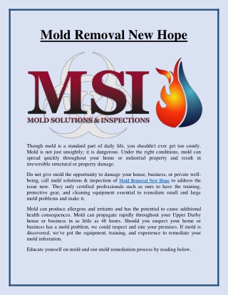 Mold Removal New Hope