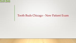 Tooth Buds Chicago - New Patient Exam