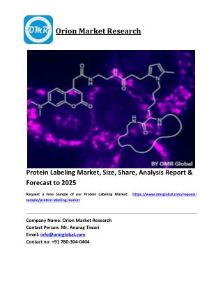 Protein Labeling Market Size, Industry Trends, Share and Forecast 2019-2025