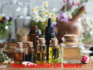 How Essential Oil Works