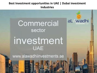Commercial sector investment in UAE